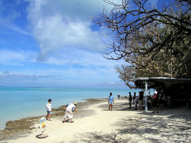 カイジ浜 | やえやまなび