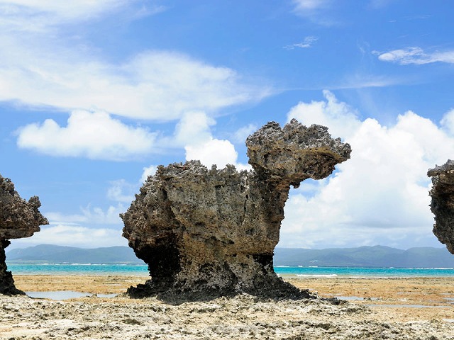 ノッチと振り向き牛の岩 | やえやまなび