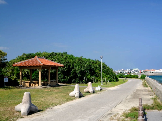 みなみの島様　確認用 HORIZONTAL PATTERN - SUN SURF - サンサーフ